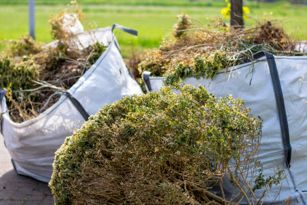 Best Hoarding Cleanup  in Kingsburg, CA
