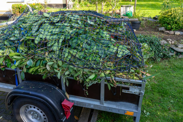 Best Residential Junk Removal  in Kingsburg, CA